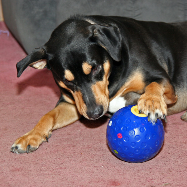 IMG_5680_small_unsharpened