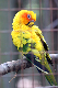 IMG_7199_fin